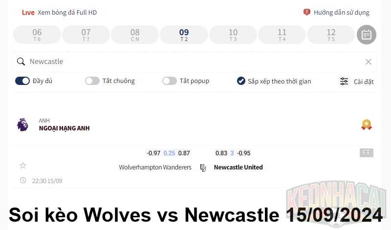 Soi kèo Wolves vs Newcastle 15/09/2024