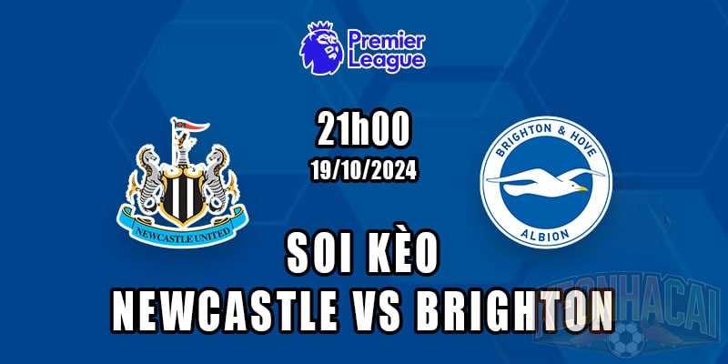 Soi kèo Newcastle vs Brighton 19/10/2024