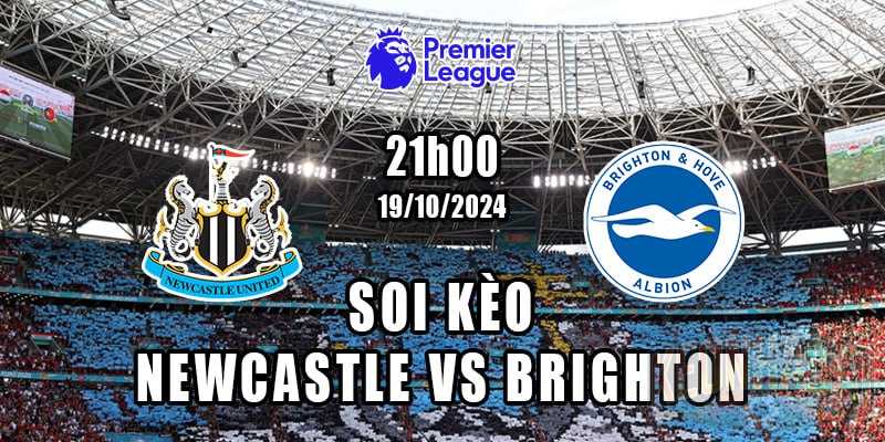 Soi kèo Newcastle vs Brighton 19/10/2024